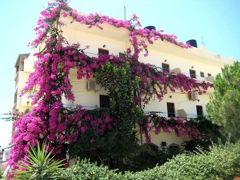 Knossos Hotel 卡拉马基 外观 照片